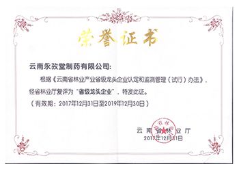 林業(yè)產(chǎn)業(yè)省級(jí)龍頭企業(yè)證書